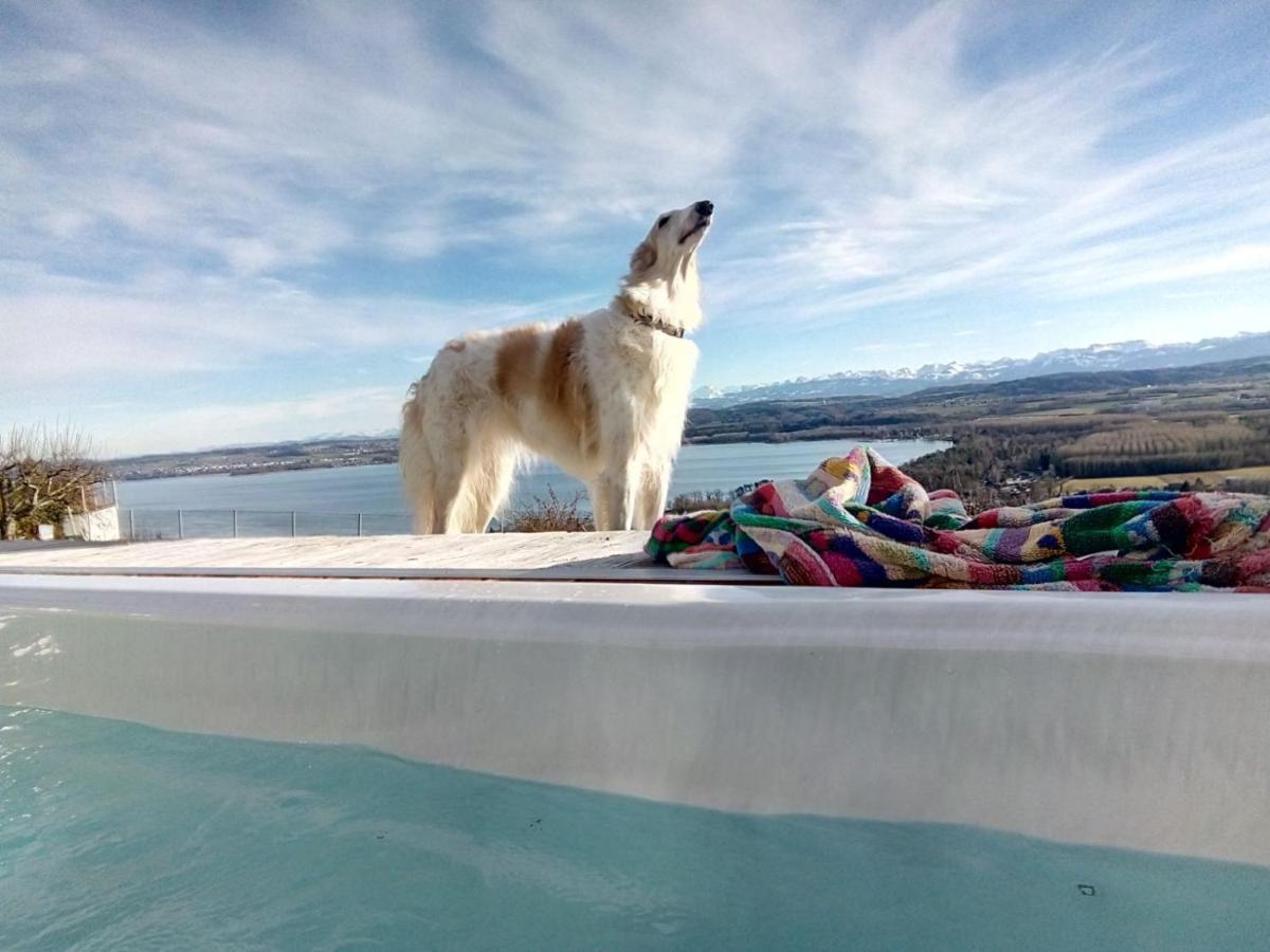 Swiss Borzoi House Bed and Breakfast Vully-les-Lacs Buitenkant foto