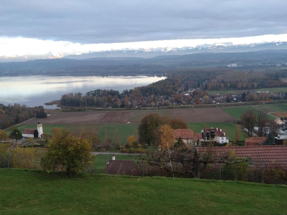 Swiss Borzoi House Bed and Breakfast Vully-les-Lacs Buitenkant foto