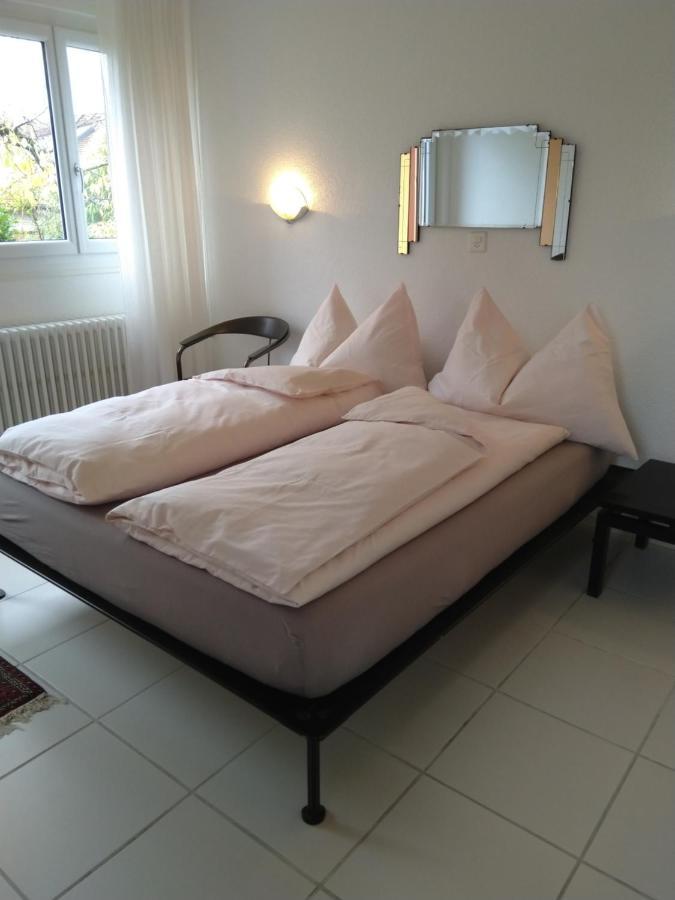 Swiss Borzoi House Bed and Breakfast Vully-les-Lacs Buitenkant foto