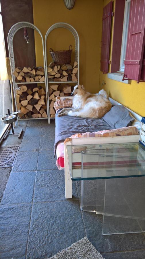 Swiss Borzoi House Bed and Breakfast Vully-les-Lacs Buitenkant foto
