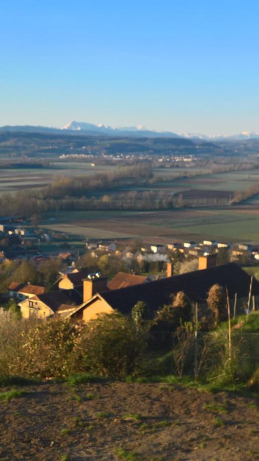 Swiss Borzoi House Bed and Breakfast Vully-les-Lacs Buitenkant foto