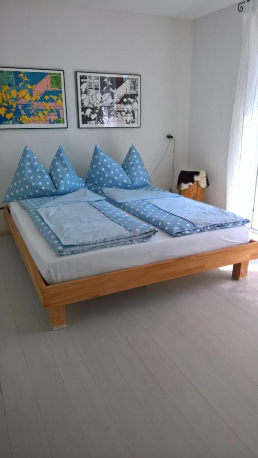 Swiss Borzoi House Bed and Breakfast Vully-les-Lacs Buitenkant foto
