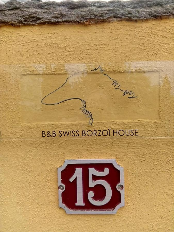 Swiss Borzoi House Bed and Breakfast Vully-les-Lacs Buitenkant foto