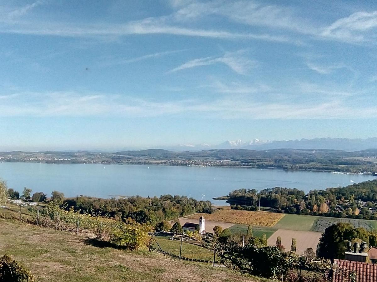Swiss Borzoi House Bed and Breakfast Vully-les-Lacs Buitenkant foto