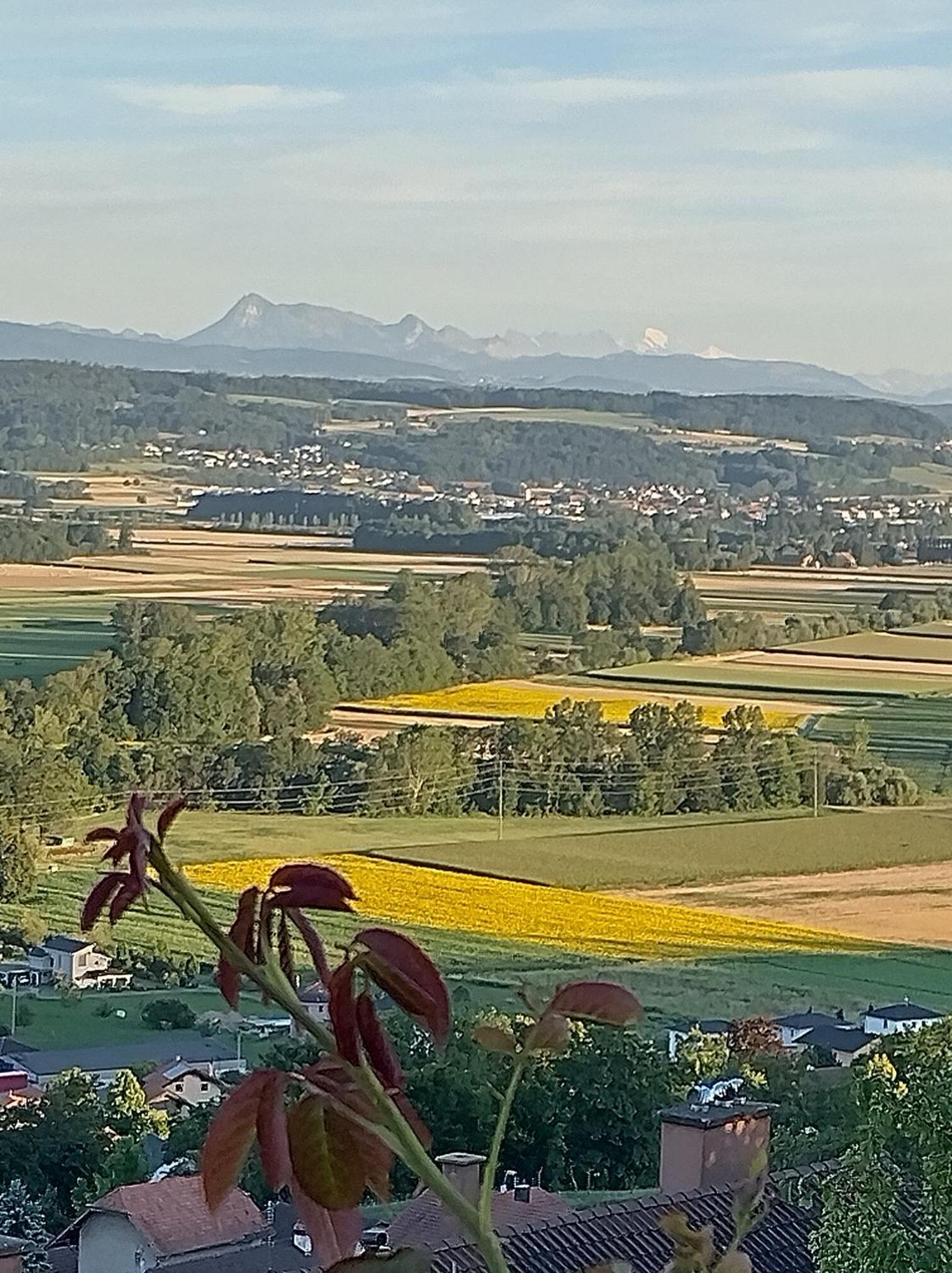 Swiss Borzoi House Bed and Breakfast Vully-les-Lacs Buitenkant foto