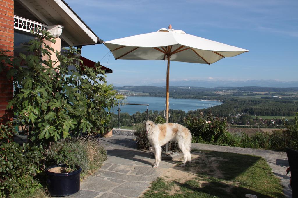 Swiss Borzoi House Bed and Breakfast Vully-les-Lacs Kamer foto