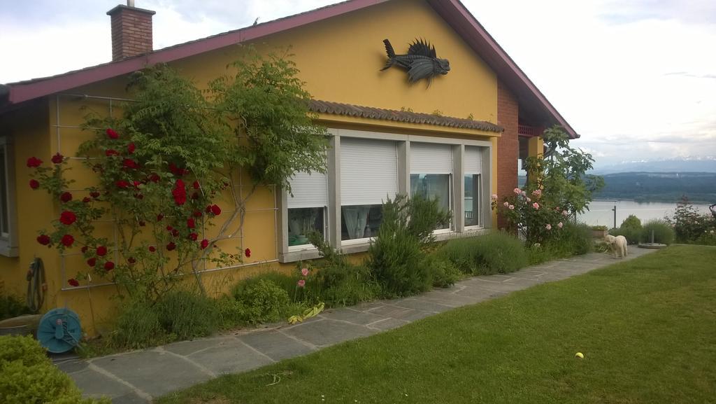 Swiss Borzoi House Bed and Breakfast Vully-les-Lacs Buitenkant foto