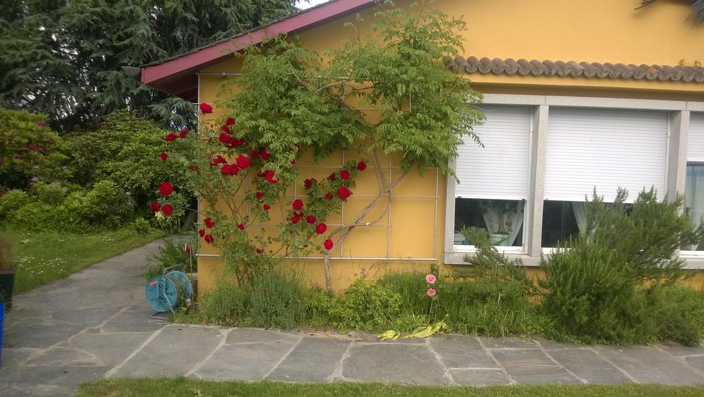 Swiss Borzoi House Bed and Breakfast Vully-les-Lacs Buitenkant foto