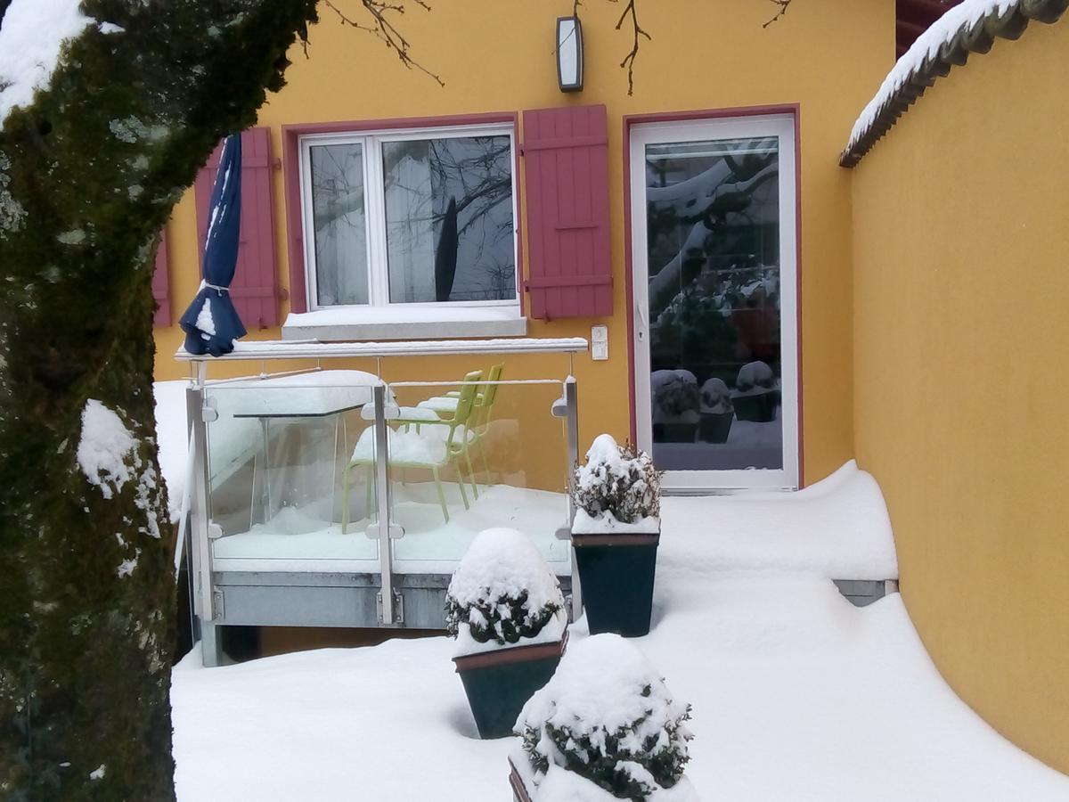 Swiss Borzoi House Bed and Breakfast Vully-les-Lacs Buitenkant foto